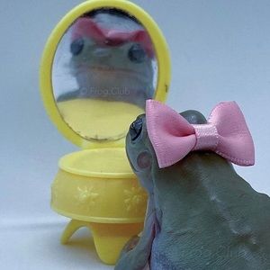 Meet your Posher, Margarita